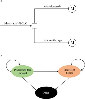 Cost-Effectiveness Analysis of Atezolizumab Versus Chemotherapy as First-Line Treatment for Metastatic Non-Small-Cell Lung Cancer With Different PD-L1 Expression Status